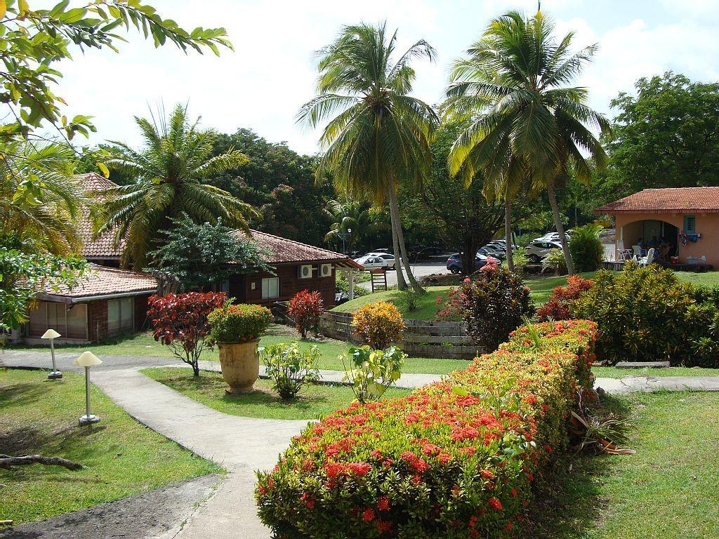 Palm'Studio Anse de Caritan Sainte-Anne Esterno foto