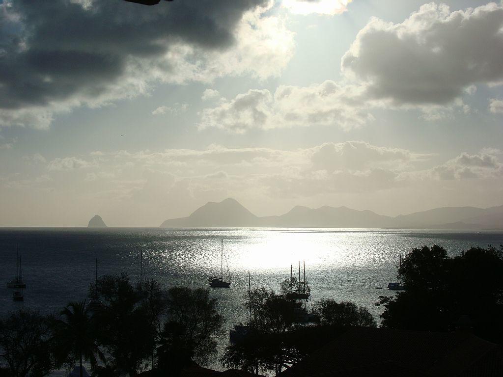Palm'Studio Anse de Caritan Sainte-Anne Esterno foto
