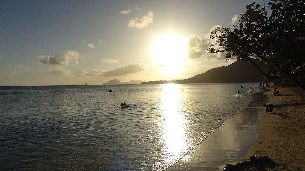 Palm'Studio Anse de Caritan Sainte-Anne Esterno foto