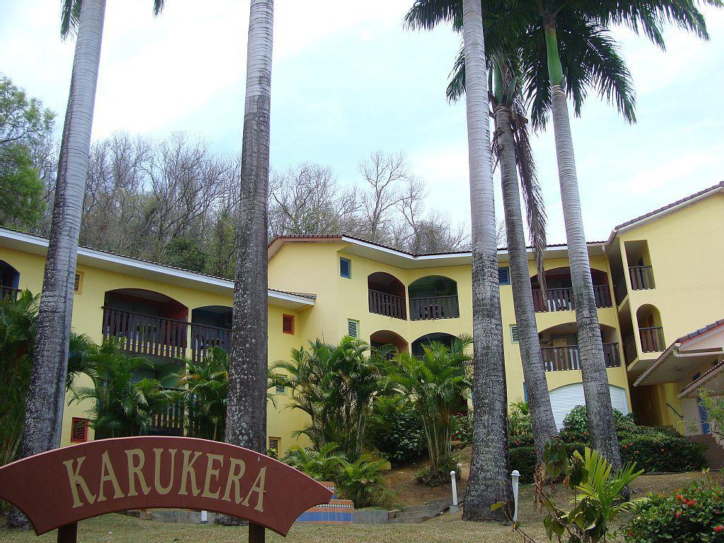 Palm'Studio Anse de Caritan Sainte-Anne Esterno foto