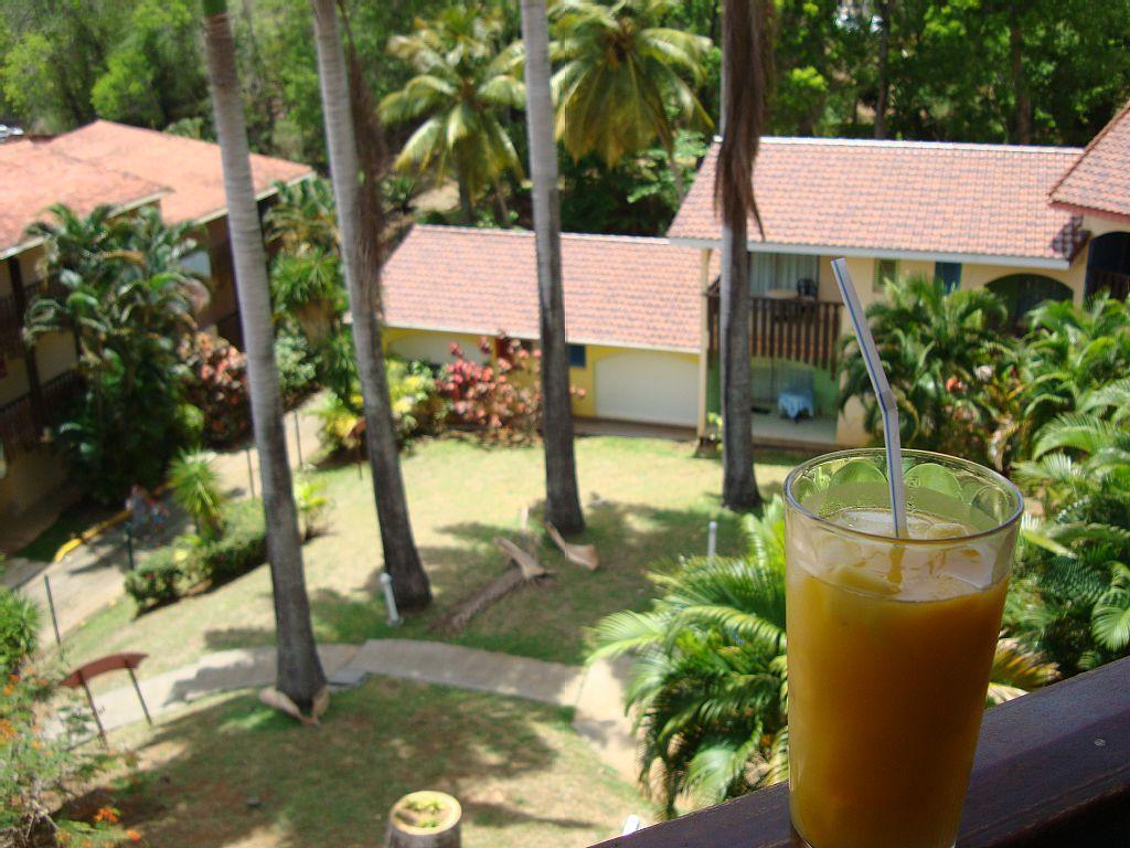 Palm'Studio Anse de Caritan Sainte-Anne Esterno foto